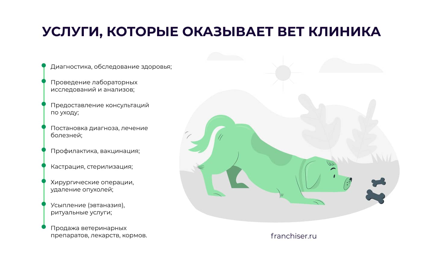 Как открыть ветклинику – бизнес-план, особенности, франшизы