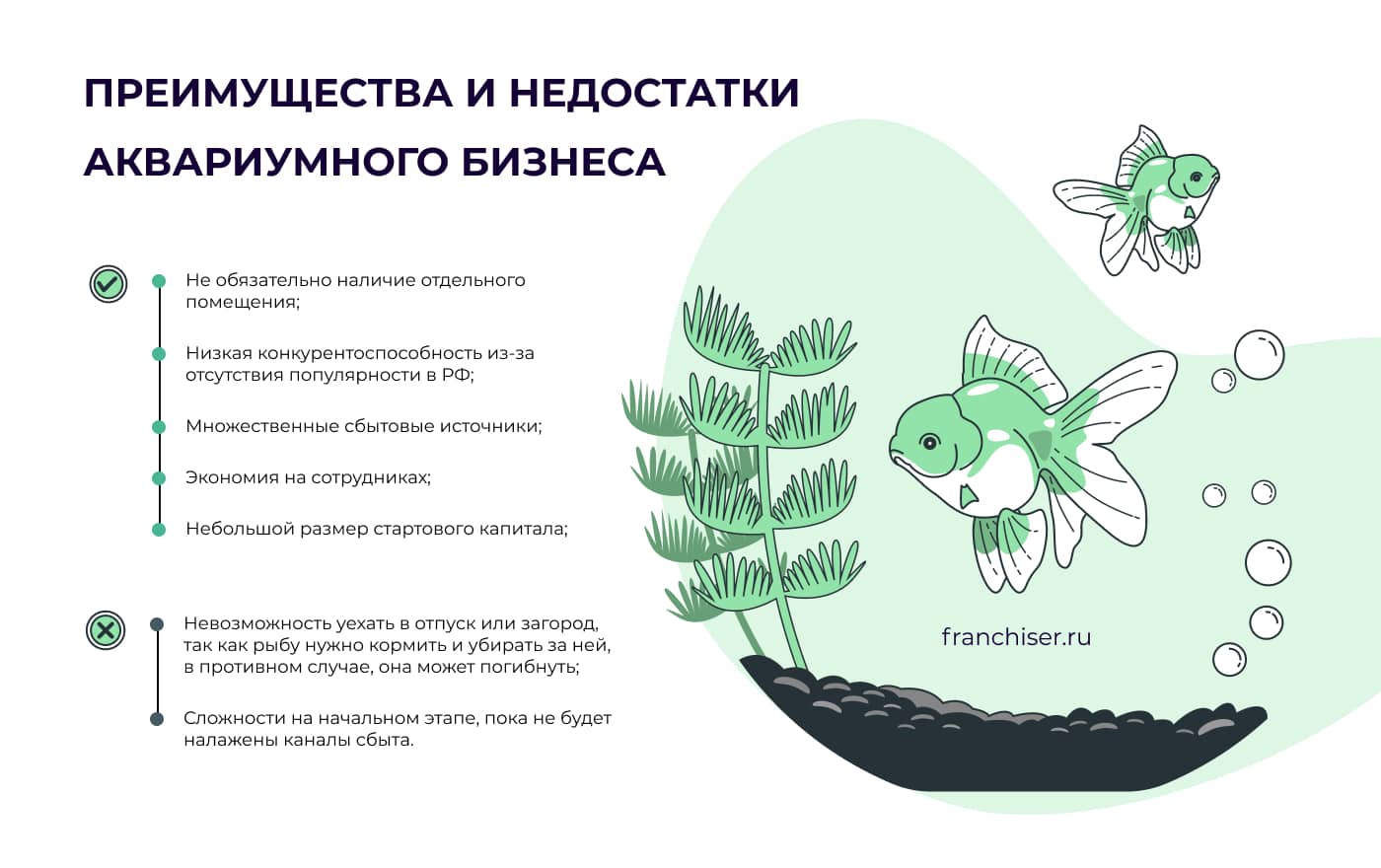 Разведение аквариумных рыбок как бизнес: особенности и рентабельность