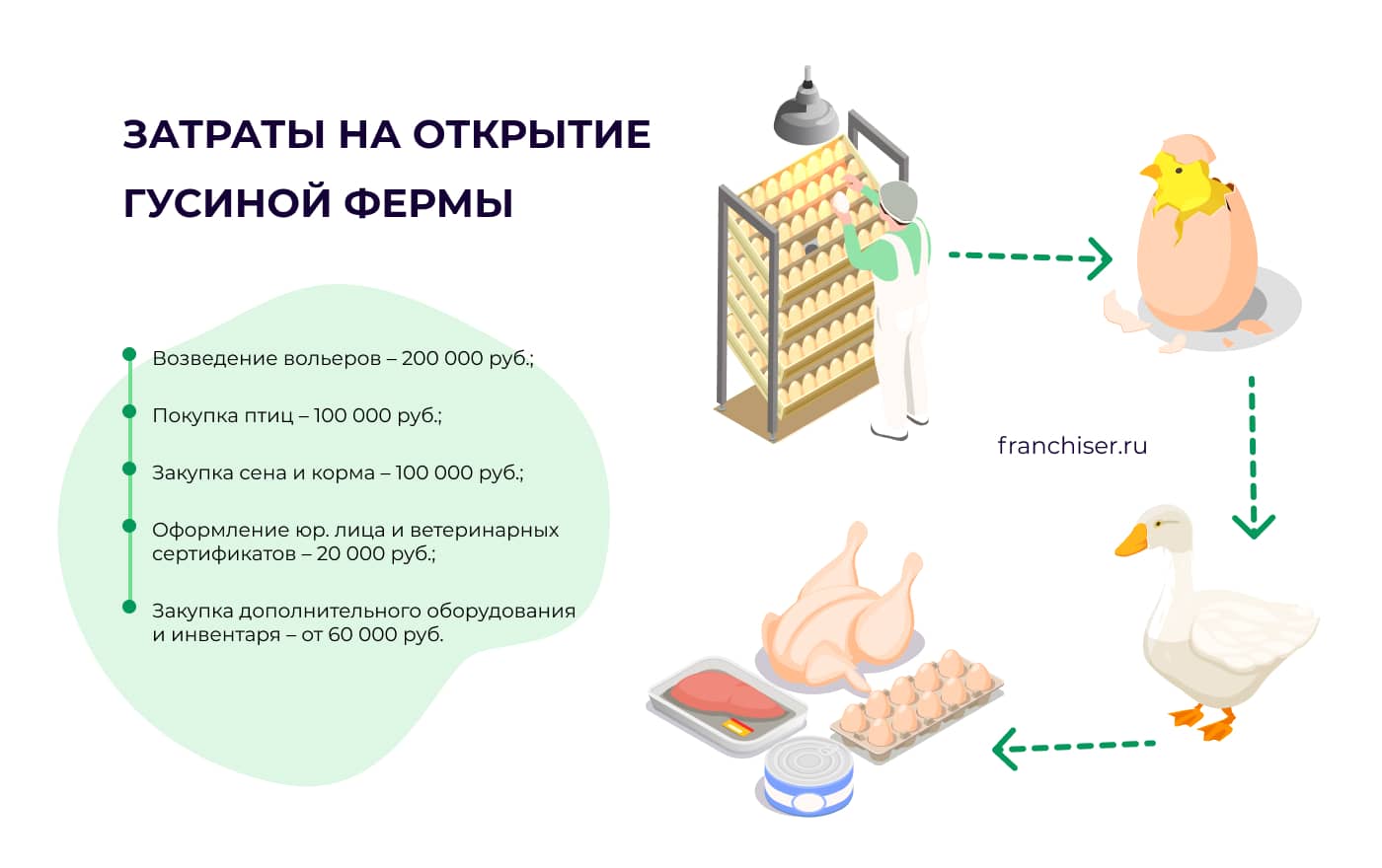 Бизнес на гусях: с чего начать, рентабельность и примерный расчет